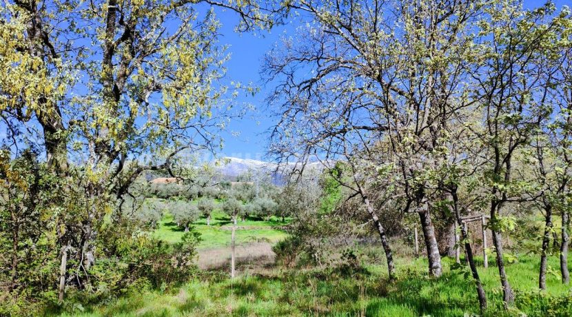 WhatsApp Image 2026-03-27 at 10.47.00 (1)_result