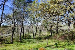 WhatsApp Image 2026-03-27 at 10.47.00_result