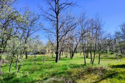 WhatsApp Image 2026-03-27 at 10.47.55_result