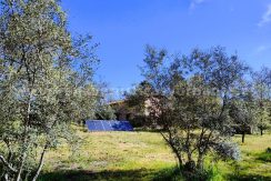 WhatsApp Image 2026-03-27 at 10.47.56 (1)_result