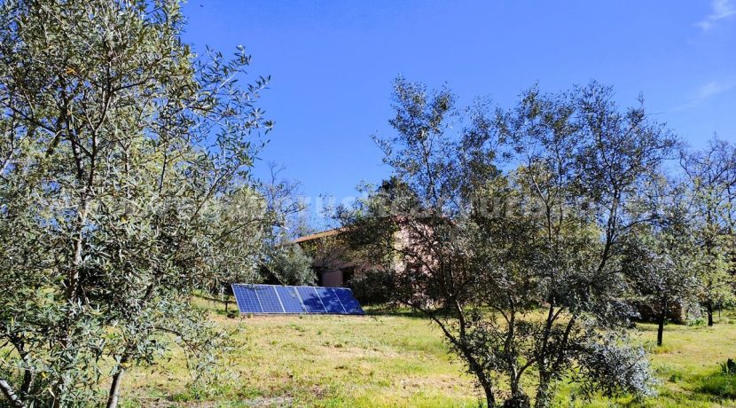 WhatsApp Image 2026-03-27 at 10.47.56 (1)_result