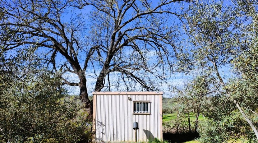 WhatsApp Image 2026-03-27 at 10.47.56_result