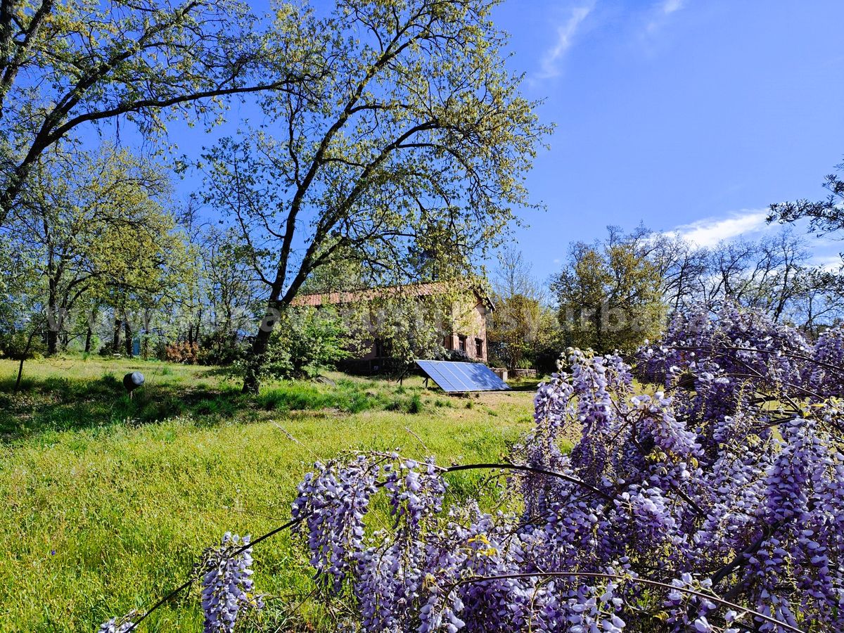 VIDA TRANQUILA ENTRE LOS ROBLES