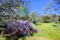 WhatsApp Image 2026-03-27 at 10.48.01 (1)_result