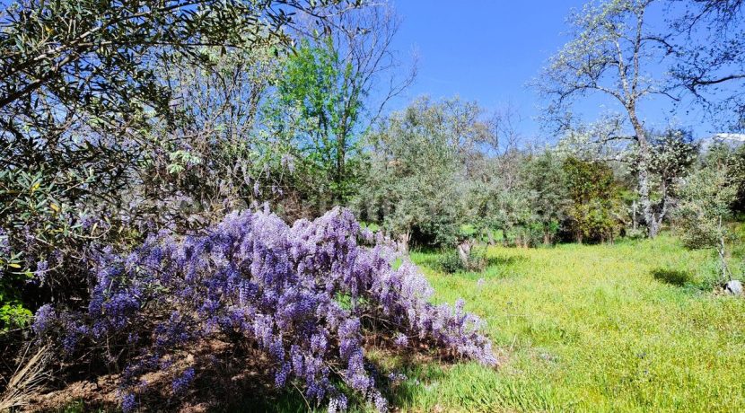 WhatsApp Image 2026-03-27 at 10.48.01 (1)_result