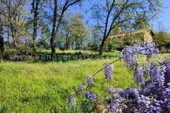 WhatsApp Image 2026-03-27 at 10.48.02_result