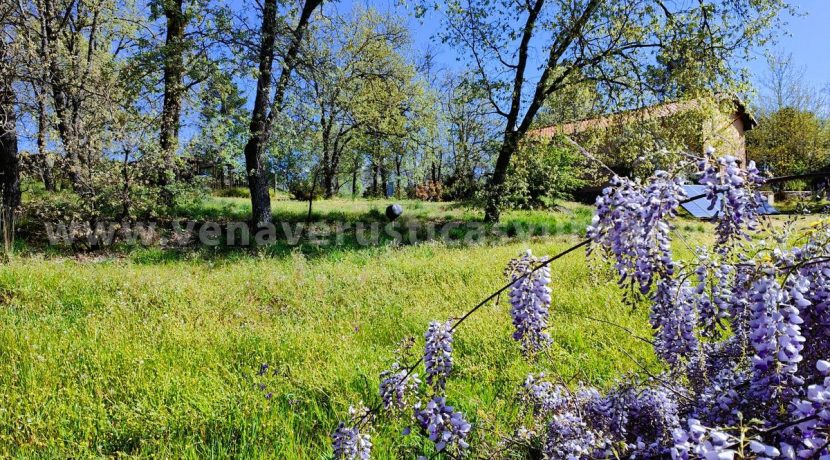 WhatsApp Image 2026-03-27 at 10.48.02_result