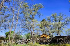 WhatsApp Image 2026-03-27 at 10.48.03_result