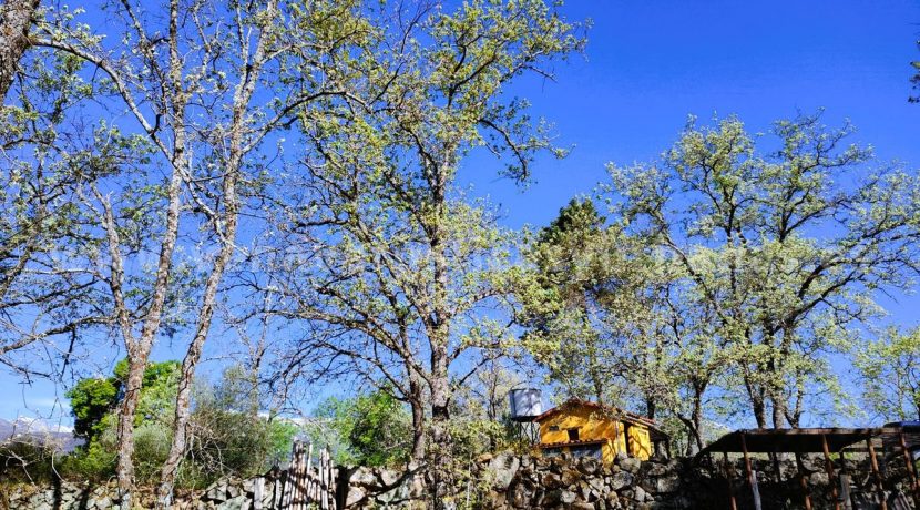 WhatsApp Image 2026-03-27 at 10.48.03_result