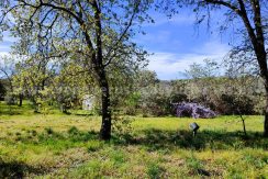 WhatsApp Image 2026-03-27 at 10.48.07_result