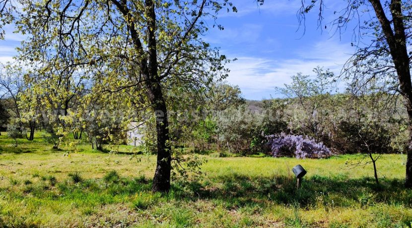 WhatsApp Image 2026-03-27 at 10.48.07_result