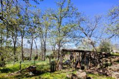 WhatsApp Image 2026-03-27 at 10.48.10_result