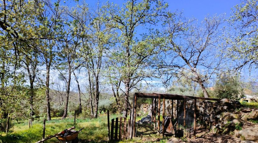 WhatsApp Image 2026-03-27 at 10.48.10_result