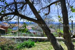 WhatsApp Image 2026-03-27 at 10.58.31 (3)_result