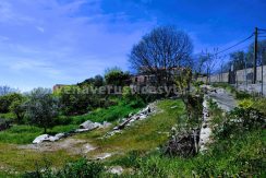 WhatsApp Image 2026-03-27 at 10.58.31 (4)_result