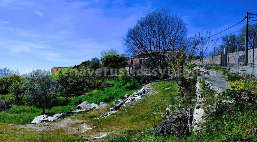 WhatsApp Image 2026-03-27 at 10.58.31 (4)_result