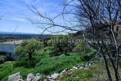 WhatsApp Image 2026-03-27 at 10.58.32 (2)_result