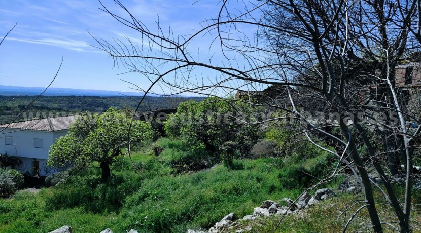 WhatsApp Image 2026-03-27 at 10.58.32 (2)_result