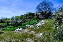 WhatsApp Image 2026-03-27 at 10.58.32 (3)_result