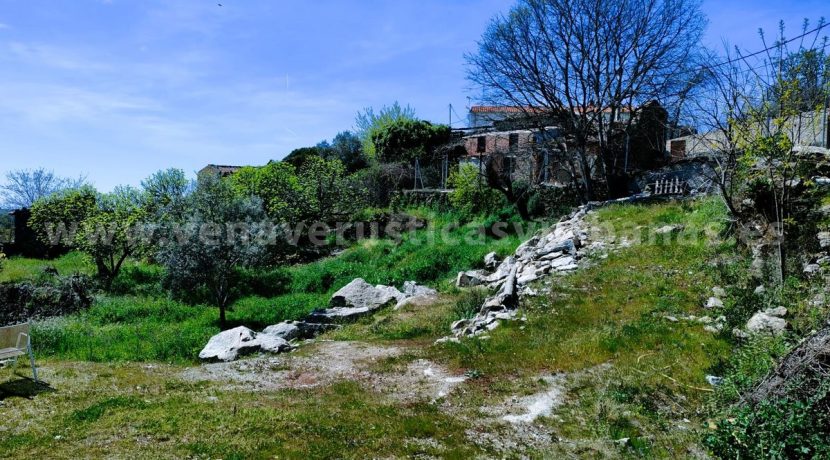 WhatsApp Image 2026-03-27 at 10.58.32 (3)_result