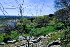 WhatsApp Image 2026-03-27 at 10.58.32 (4)_result