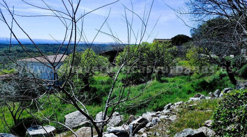 WhatsApp Image 2026-03-27 at 10.58.32 (4)_result