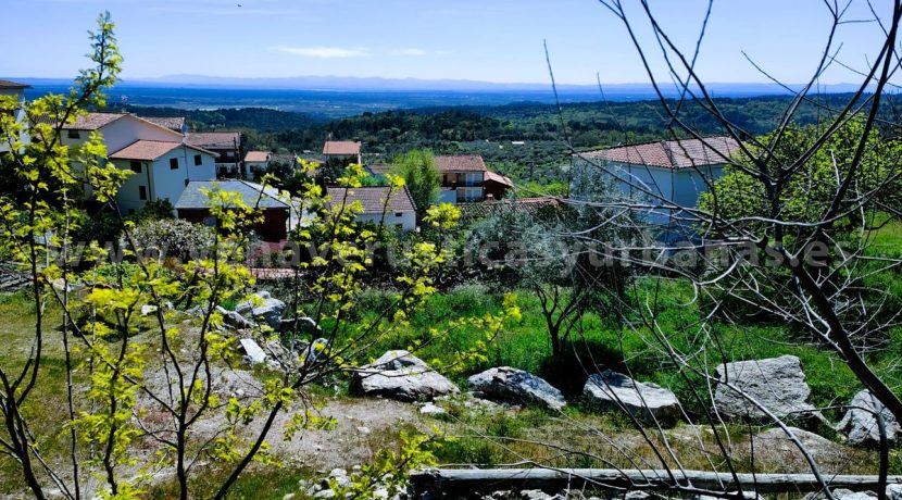 WhatsApp Image 2026-03-27 at 10.58.32_result