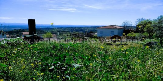 ATARDECERES DE CÁLIDA LUZ