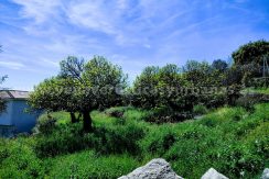 WhatsApp Image 2026-03-27 at 10.58.33 (3)_result