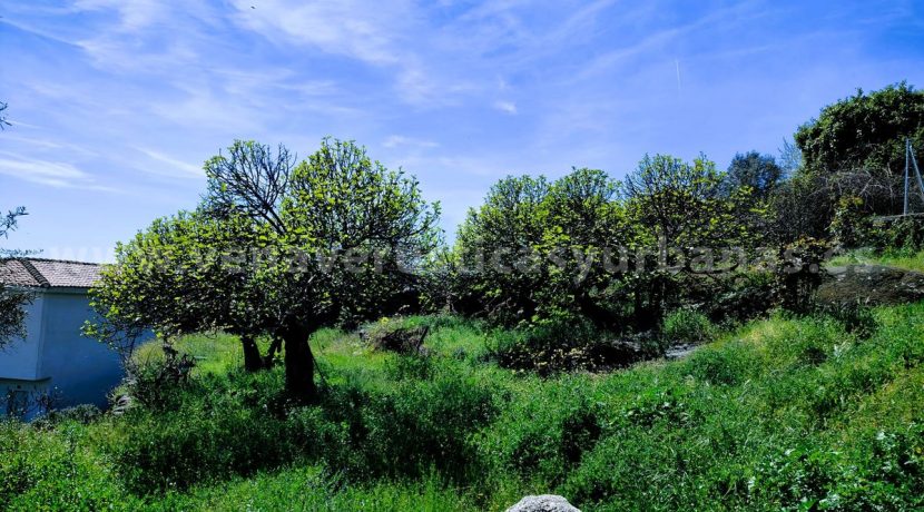 WhatsApp Image 2026-03-27 at 10.58.33 (3)_result