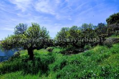 WhatsApp Image 2026-03-27 at 10.58.33 (9)_result