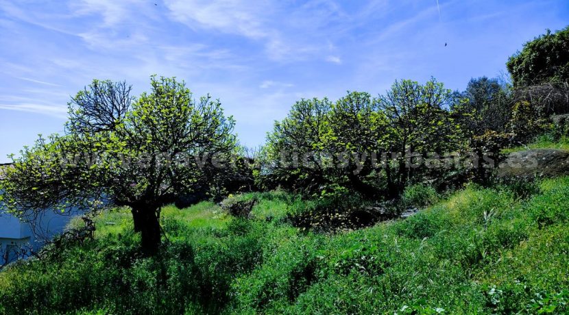 WhatsApp Image 2026-03-27 at 10.58.33 (9)_result