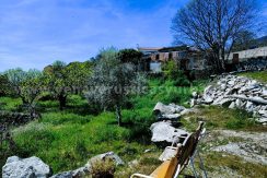 WhatsApp Image 2026-03-27 at 10.58.33_result