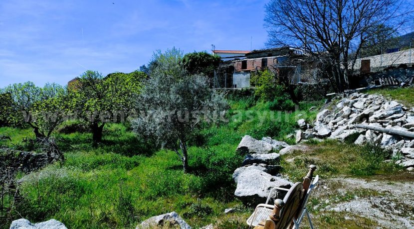 WhatsApp Image 2026-03-27 at 10.58.33_result