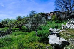 WhatsApp Image 2026-03-27 at 10.58.34_result