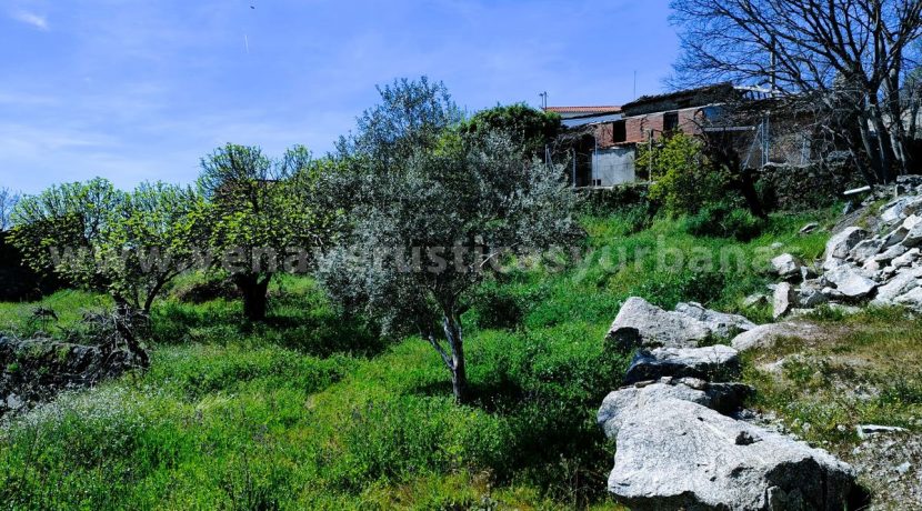 WhatsApp Image 2026-03-27 at 10.58.34_result