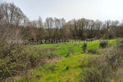 b5c1ea54-f2b6-4de7-9d96-6fe0e8ee5832_result