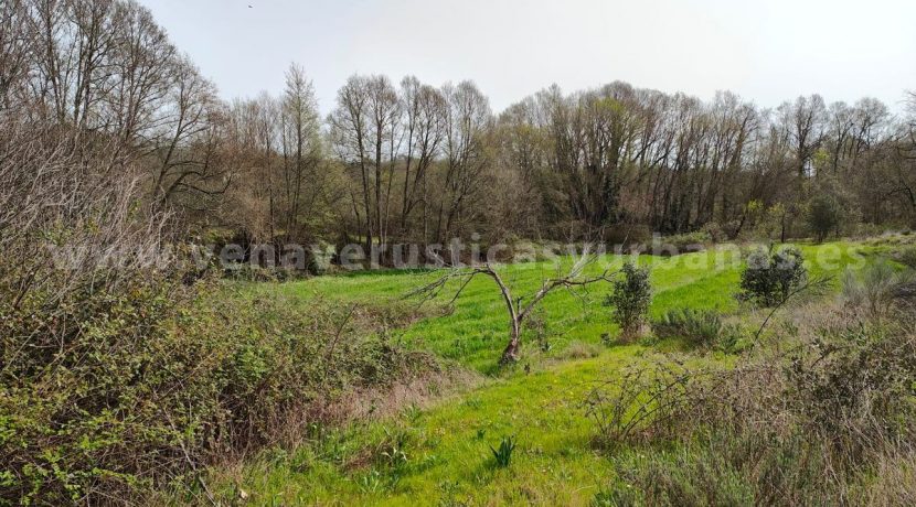 b5c1ea54-f2b6-4de7-9d96-6fe0e8ee5832_result