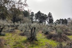 c3b6d7f0-65ea-4e40-a6e5-255cff2ad934_result