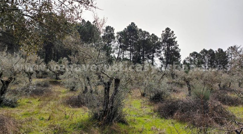 c3b6d7f0-65ea-4e40-a6e5-255cff2ad934_result