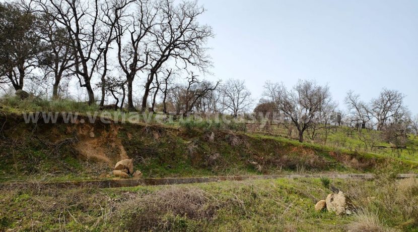 d2125500-3dfc-44c8-aba0-3d9950c64123_result