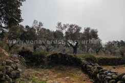 d36e757c-c959-4784-ae4a-4cfeceb3fc5d_result