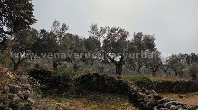 d36e757c-c959-4784-ae4a-4cfeceb3fc5d_result