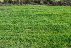 e1818c53-0459-4430-b915-8beb76fa4d57_result