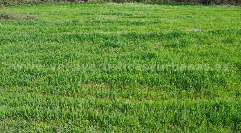 e1818c53-0459-4430-b915-8beb76fa4d57_result