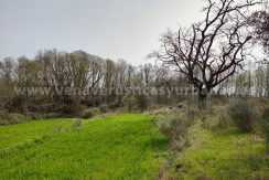 f9f8a3f6-1181-48ec-8504-9eec43e9e696_result