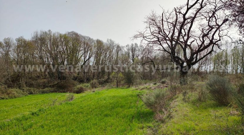 f9f8a3f6-1181-48ec-8504-9eec43e9e696_result