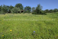 01ed8411-733e-4205-b92e-79c40c215f54_result