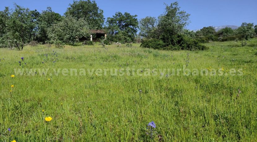 01ed8411-733e-4205-b92e-79c40c215f54_result