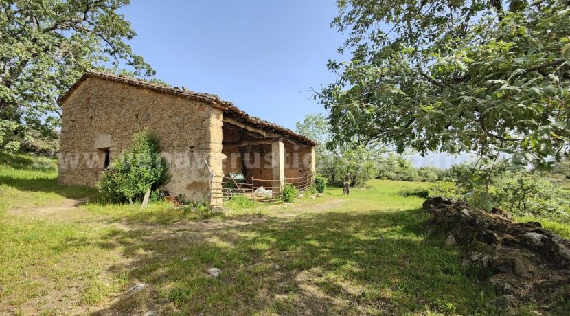 073b51f1-608f-417f-a786-49cd432c651e_result